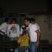 Bild 236