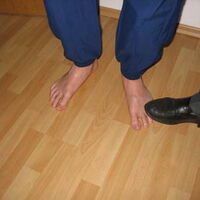 Bild 23