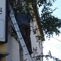 Bild 106