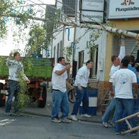 Bild 19