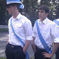 Bild 198