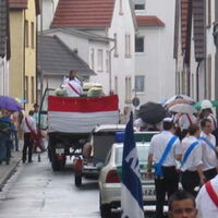 Bild 37