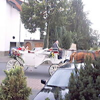 Bild 24