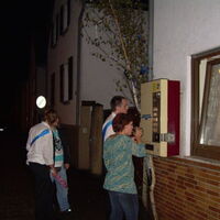 Bild 226