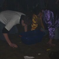 Bild 48
