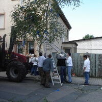 Bild 44