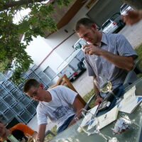 Bild 11
