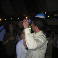 Bild 96