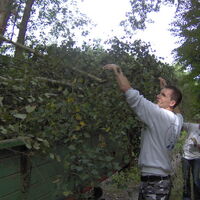 Bild 12