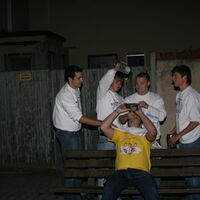 Bild 255