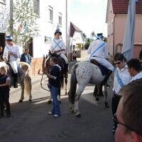 Bild 61